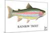 Rainbow Trout-Mark Frost-Mounted Giclee Print