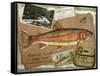 Rainbow Trout-Kate Ward Thacker-Framed Stretched Canvas