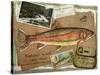 Rainbow Trout-Kate Ward Thacker-Stretched Canvas