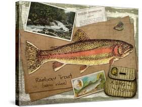 Rainbow Trout-Kate Ward Thacker-Stretched Canvas