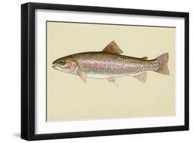 Rainbow Trout-null-Framed Giclee Print