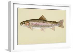 Rainbow Trout-null-Framed Giclee Print