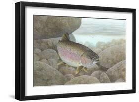 Rainbow Trout-null-Framed Giclee Print