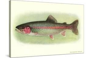 Rainbow Trout-null-Stretched Canvas