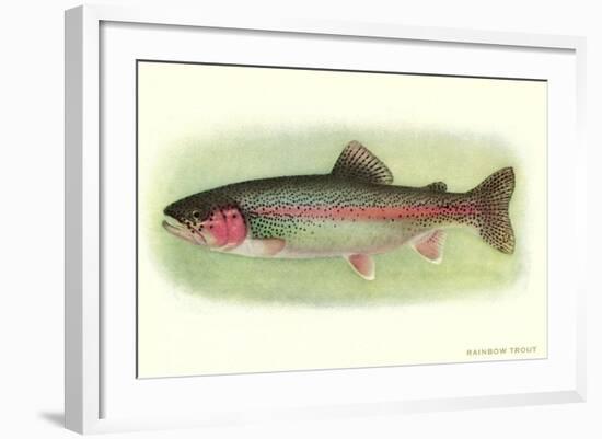 Rainbow Trout-null-Framed Art Print