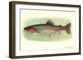 Rainbow Trout-null-Framed Art Print