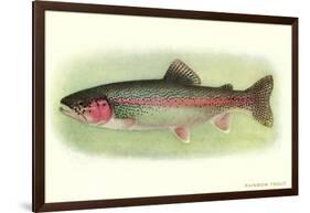 Rainbow Trout-null-Framed Art Print