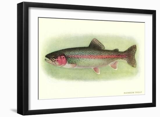 Rainbow Trout-null-Framed Premium Giclee Print