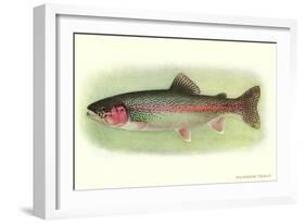 Rainbow Trout-null-Framed Premium Giclee Print