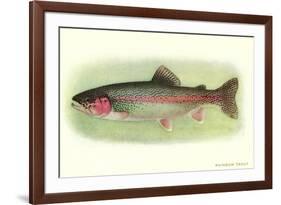 Rainbow Trout-null-Framed Art Print