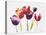 Rainbow Tulips 1-Paulo Romero-Stretched Canvas