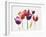 Rainbow Tulips 1-Paulo Romero-Framed Art Print