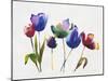 Rainbow Tulips 2-Paulo Romero-Mounted Art Print