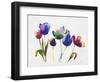 Rainbow Tulips 2-Paulo Romero-Framed Art Print