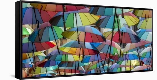Rainbow umbrellas, Bucharest, Romania-Art Wolfe Wolfe-Framed Stretched Canvas
