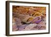 Rainbow Vista, Valley of Fire State Park, Overton, Nevada, USA-Michel Hersen-Framed Photographic Print