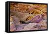 Rainbow Vista, Valley of Fire State Park, Overton, Nevada, USA-Michel Hersen-Framed Stretched Canvas