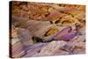Rainbow Vista, Valley of Fire State Park, Overton, Nevada, USA-Michel Hersen-Stretched Canvas