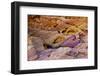 Rainbow Vista, Valley of Fire State Park, Overton, Nevada, USA-Michel Hersen-Framed Photographic Print