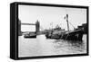 Rainbow Warrior in London-null-Framed Stretched Canvas