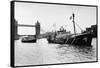 Rainbow Warrior in London-null-Framed Stretched Canvas