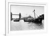 Rainbow Warrior in London-null-Framed Photographic Print