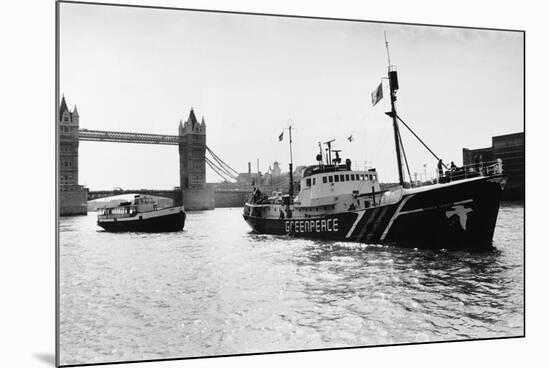 Rainbow Warrior in London-null-Mounted Photographic Print