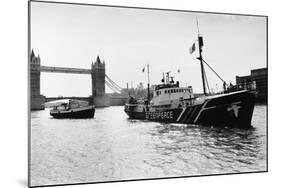 Rainbow Warrior in London-null-Mounted Photographic Print