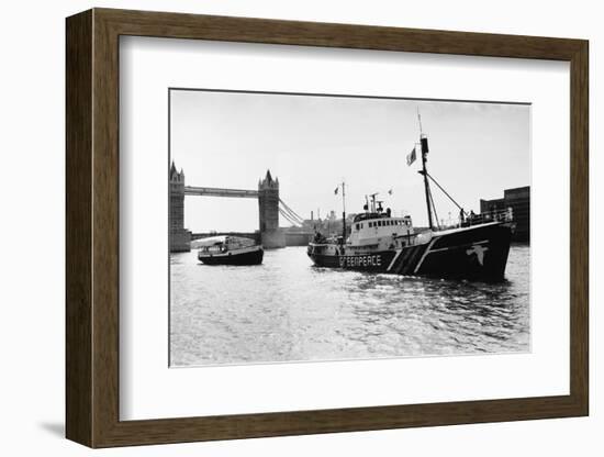 Rainbow Warrior in London-null-Framed Photographic Print