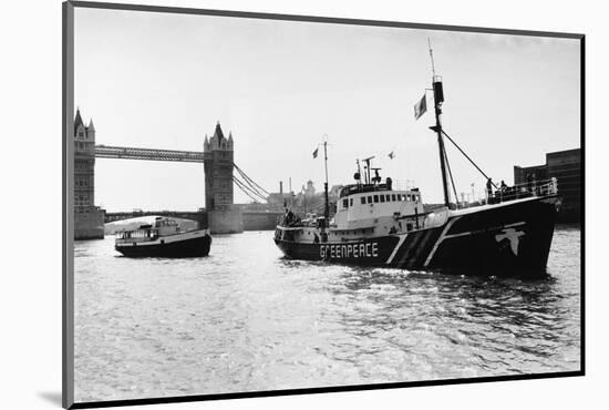 Rainbow Warrior in London-null-Mounted Photographic Print