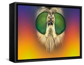 Rainbow Warrior-Michel Manzoni-Framed Stretched Canvas