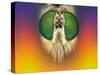 Rainbow Warrior-Michel Manzoni-Stretched Canvas