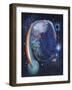 Rainbow Wizard-Judy Mastrangelo-Framed Giclee Print