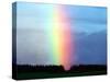 Rainbow-null-Stretched Canvas