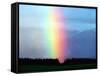 Rainbow-null-Framed Stretched Canvas