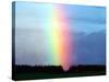 Rainbow-null-Stretched Canvas