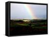 Rainbow-null-Framed Stretched Canvas