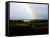 Rainbow-null-Framed Stretched Canvas
