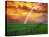 Rainbow-null-Stretched Canvas