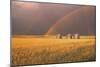 Rainbow-null-Mounted Photographic Print