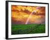 Rainbow-null-Framed Photographic Print