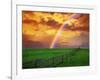 Rainbow-null-Framed Photographic Print