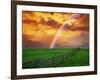 Rainbow-null-Framed Photographic Print