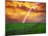 Rainbow-null-Mounted Photographic Print