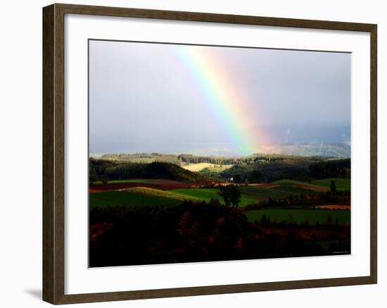 Rainbow-null-Framed Photographic Print