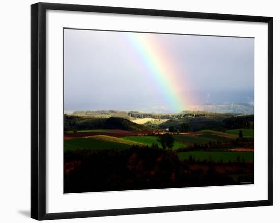 Rainbow-null-Framed Photographic Print