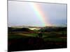 Rainbow-null-Mounted Photographic Print