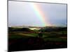 Rainbow-null-Mounted Photographic Print