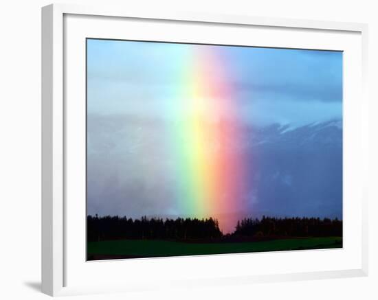 Rainbow-null-Framed Photographic Print