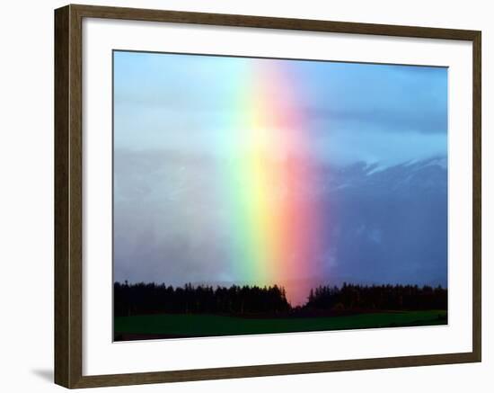 Rainbow-null-Framed Photographic Print